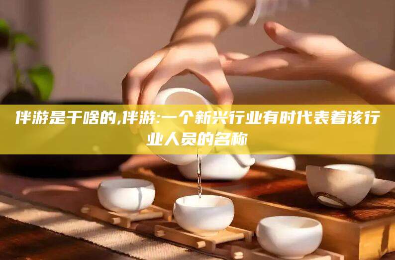 武威伴游是干啥的,伴游:一个新兴行业有时代表着该行业人员的名称