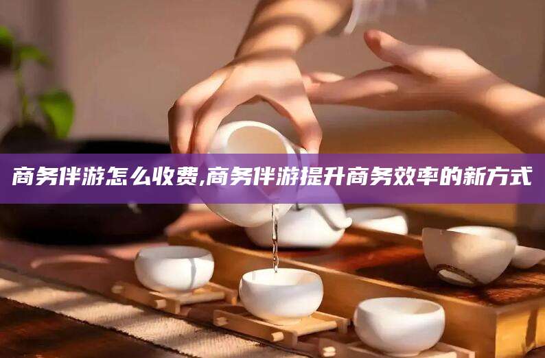 武威商务伴游怎么收费,商务伴游提升商务效率的新方式