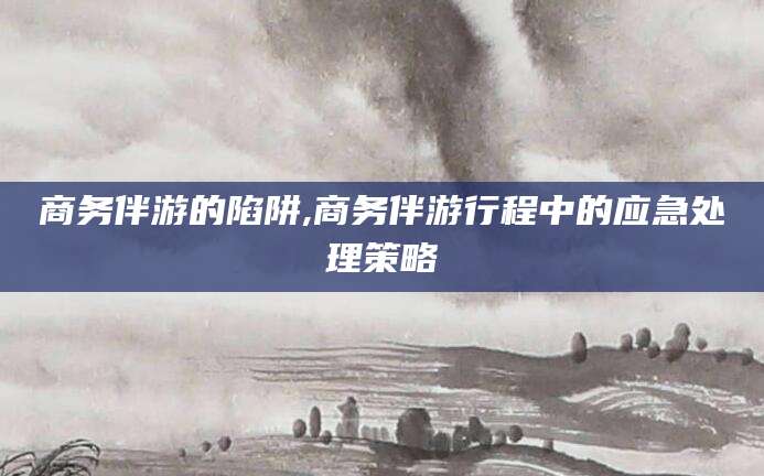 武威商务伴游的陷阱,商务伴游行程中的应急处理策略